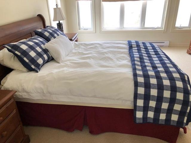 The Thoughtful Dog Bed & Breakfast South Brook エクステリア 写真