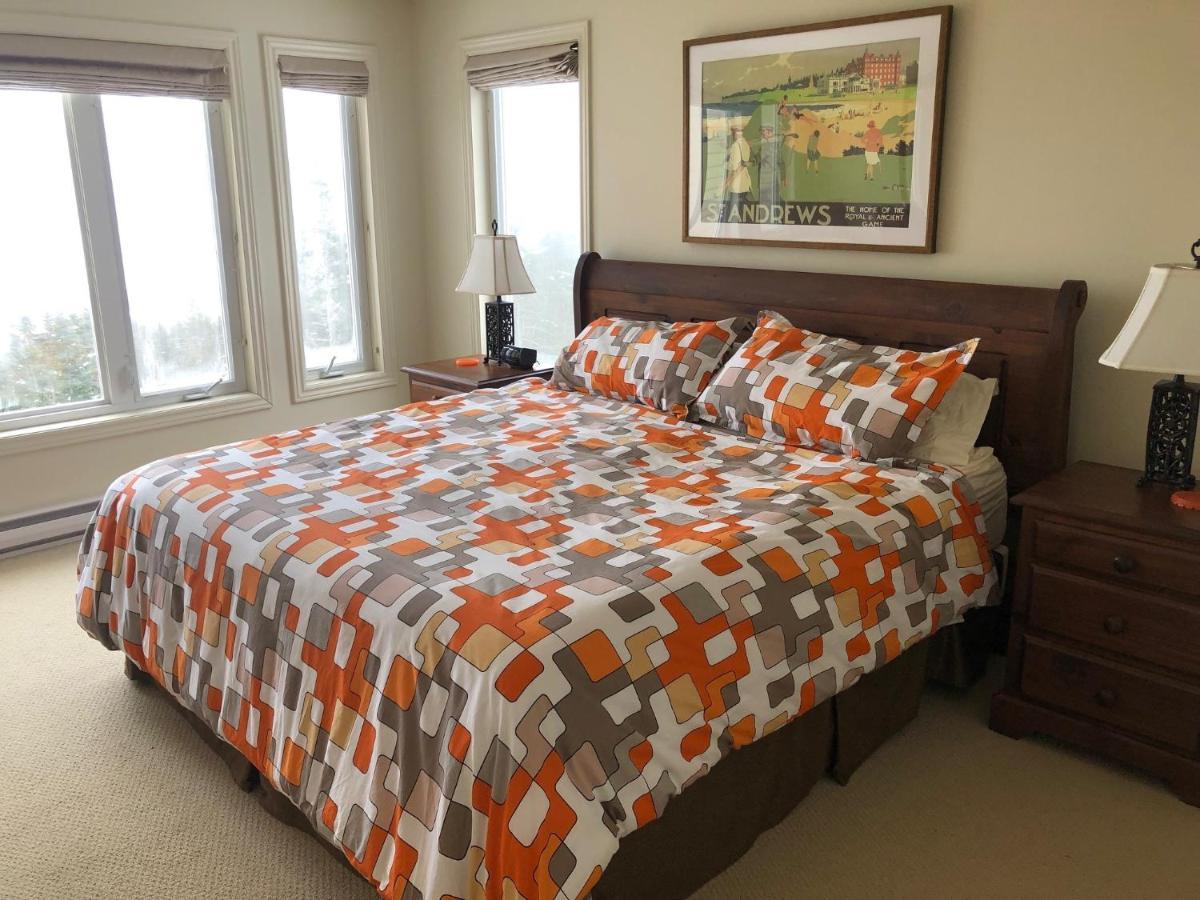 The Thoughtful Dog Bed & Breakfast South Brook エクステリア 写真