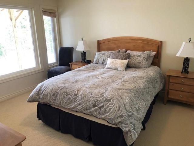 The Thoughtful Dog Bed & Breakfast South Brook エクステリア 写真